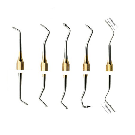 Set 2 de Instrumentos para Obturación set 2 1049A de Carl Martin