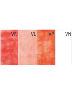 Vitaplex Resina Termoplástica Bolsa 250gr. 2