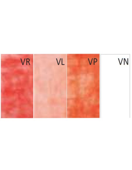 Vitaplex Resina Termoplástica Bolsa 250gr.