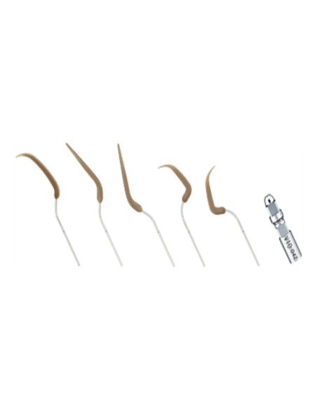 Pack 15 NSK Varios Combi Pro, Kit Perio, Pieza de Mano VA2 LED y Puntas