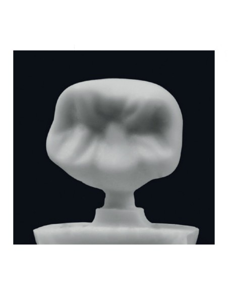 Fresadora Opera Mecanizado Seco Pro-Expert 5+