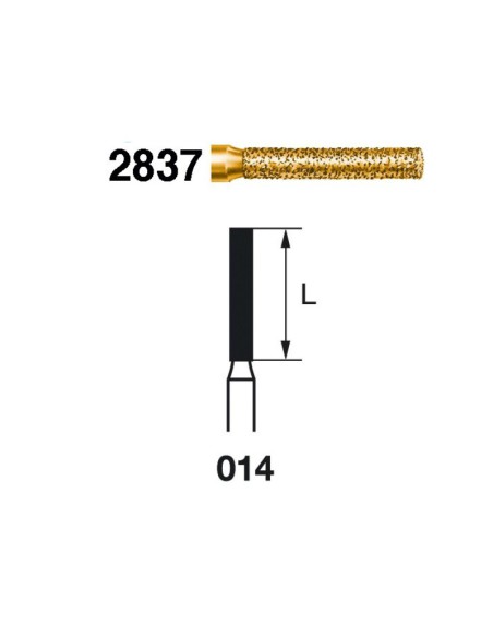 Fresa Diamante FG 2837.314.023 Serie 2000 Clínica Cilindro 5 uds