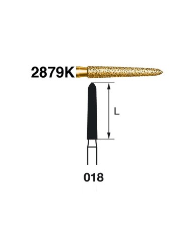 Fresa Diamante FG 2879K.314.018 Serie 2000 Clínica 5 uds