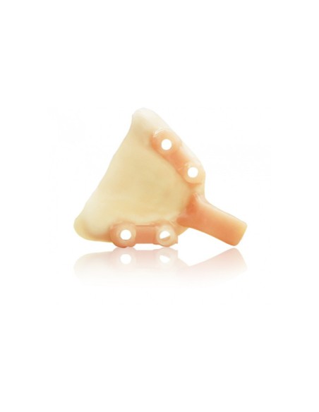 Impresora 3D Opera OS-Print + Kit Ortho modelo resina 1L + Built Platform