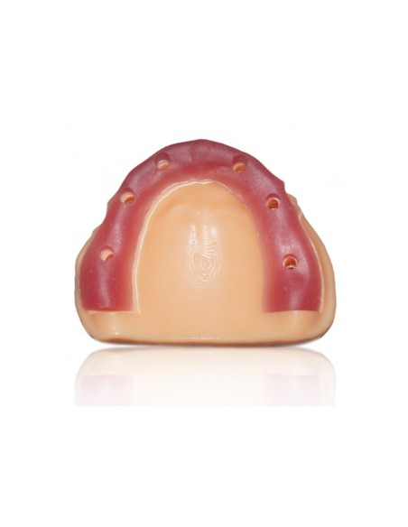 Impresora 3D Opera OS-Print + Kit Ortho modelo resina 1L + Built Platform