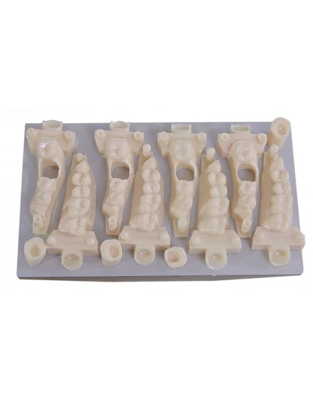 Impresora 3D Opera OS-Print + Kit Ortho modelo resina 1L + Built Platform