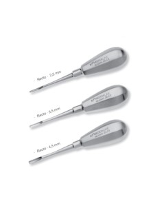 Botador Bein de Raíces Recto Inox.