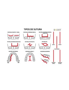Modelo para Práctica de Sutura 2