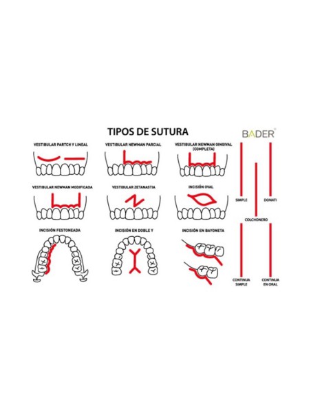Modelo para Práctica de Sutura