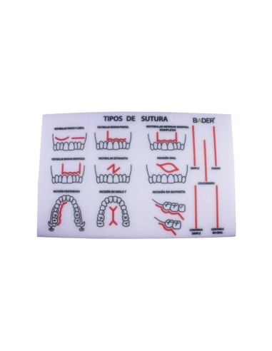 Modelo para Práctica de Sutura