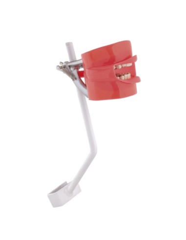 Fantoma Modelo de Práctica con Anclaje a Sillón Bader