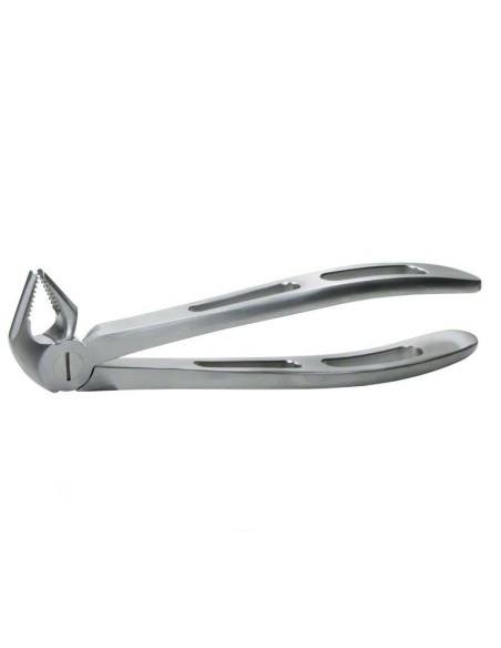 GX13 Fórceps GatorEX incisivos y caninos inferiores y premolares