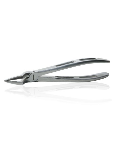 GX51A Fórceps GatorEx para Raíces Superiores Carl Martin