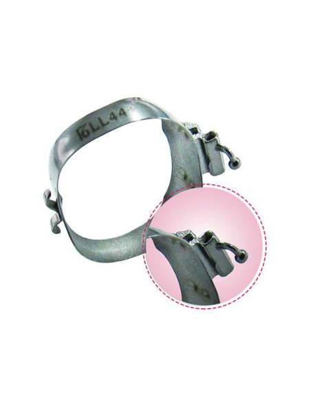 Banda Molar Tubo Doble con Palometa Inferior Derecha 1 ud.