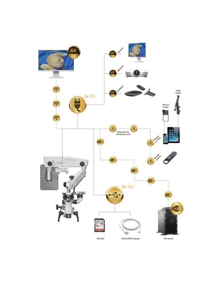Microscopio Dental PRIMA DNT Premium Nuvar 10 Montaje a Pared Labomed