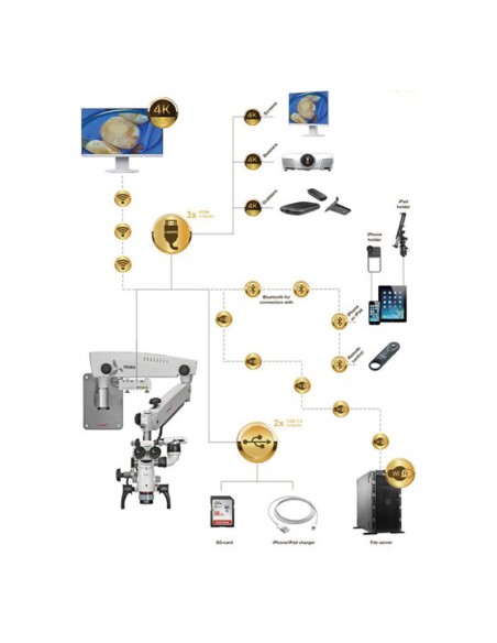 Microscopio Dental PRIMA DNT Premium Nuvar 20 Montaje a Pared Labomed