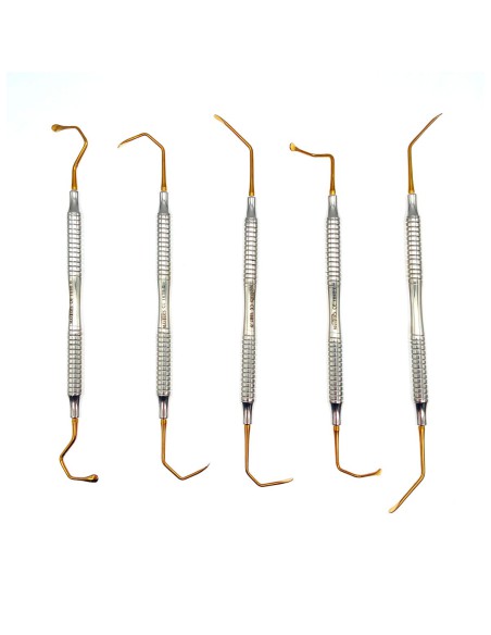 Kit de Elevación de Seno Gold Line Titanium 5u con caja Masters