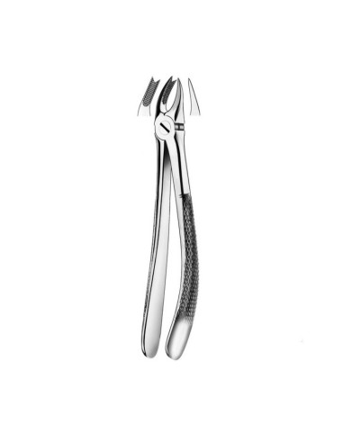 Forceps de Extracción Molar Superior Derecha