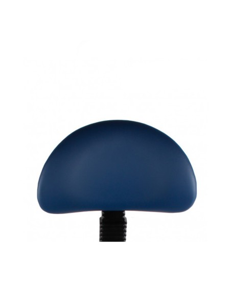 Taburete Clínica Dental Comfort Stool con Respaldo Regulable Bader