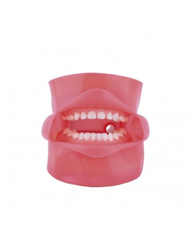 Fantoma Modelo de Práctica con Boca, Tipo Nissin