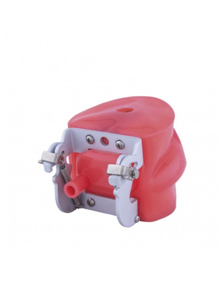 Fantoma Modelo de Práctica con Boca, Tipo Nissin