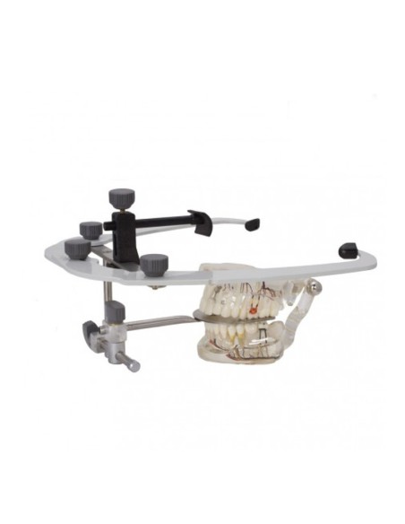 Articulador Full Art con Arco Facial Bader