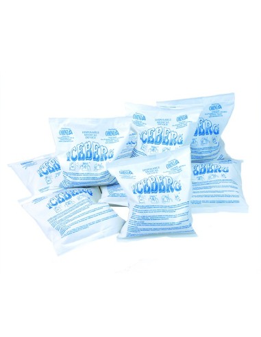 Hielo Instantáneo Iceberg