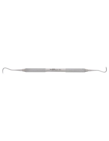 Raspador de Hueso H6/H7 para Sarro