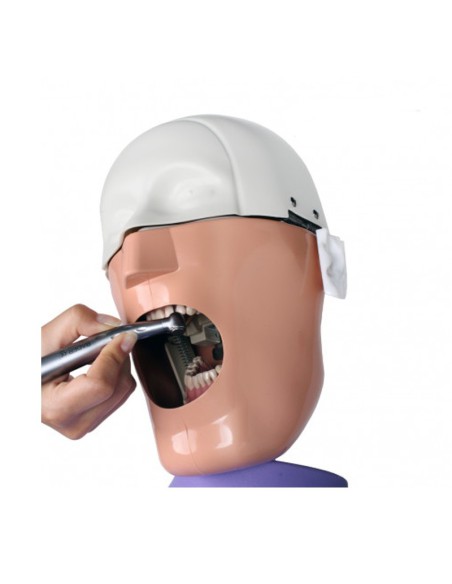 Fantoma Dental Maniquí Completo con Tipodonto AG3, Anclaje a Mesa de Bader