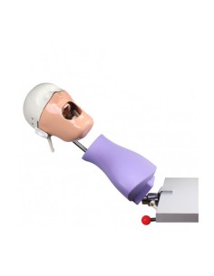 Fantoma Dental Maniquí Completo con Tipodonto AG3, Anclaje a Mesa de Bader