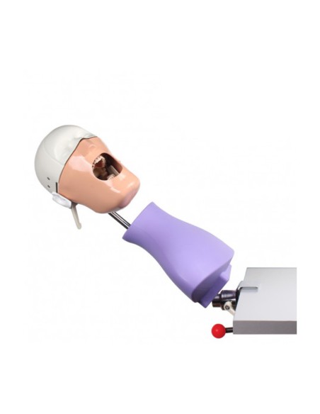 Fantoma Dental Maniquí Completo con Tipodonto AG3, Anclaje a Mesa de Bader