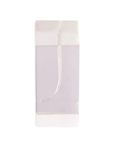 Modelo Demostración Conductos Endodoncia Bader