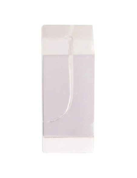 Modelo Demostración Conductos Endodoncia Bader