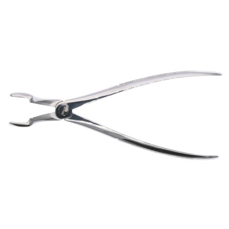 Fórceps de cordales superiores (R-L)