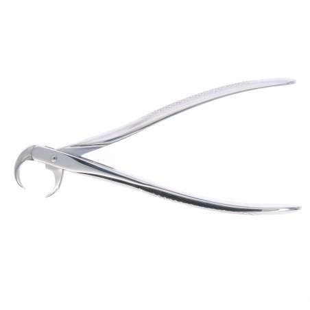 Fórceps Pico de Loro Molares Inferiores