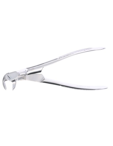 Fórceps Terceros Molares Inferiores Izquierda