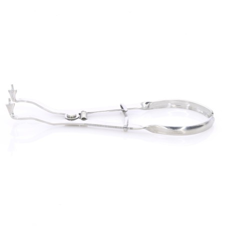 Porta Clamps Ivory Light 17 cm