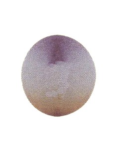 Disco de Diamante 254 mm para Recortadora de Mestra