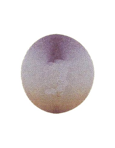 Disco de Diamante 254 mm para Recortadora de Mestra