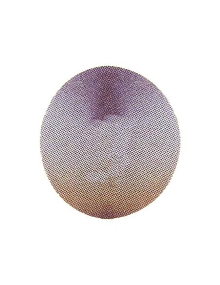 Disco de Diamante 254 mm para Recortadora de Mestra