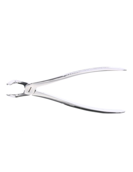 Fórceps de cordales superiores (R-L)