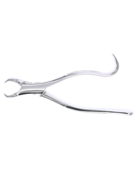 Fórceps Forma Americana Molares Inferiores Cuerno de Vaca
