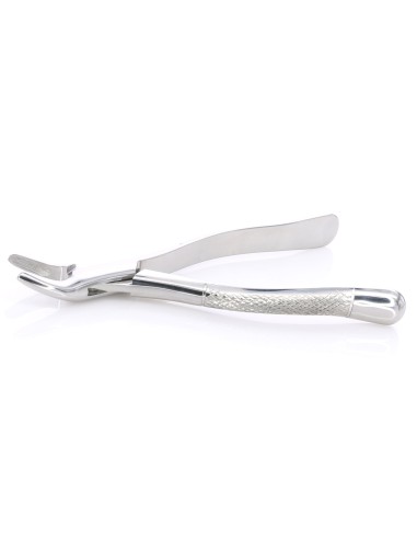 Fórceps Forma Americana Premolares Universal