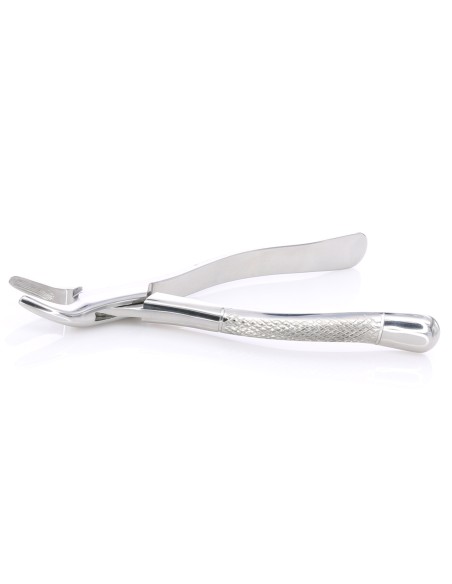 Fórceps Forma Americana Premolares Universal