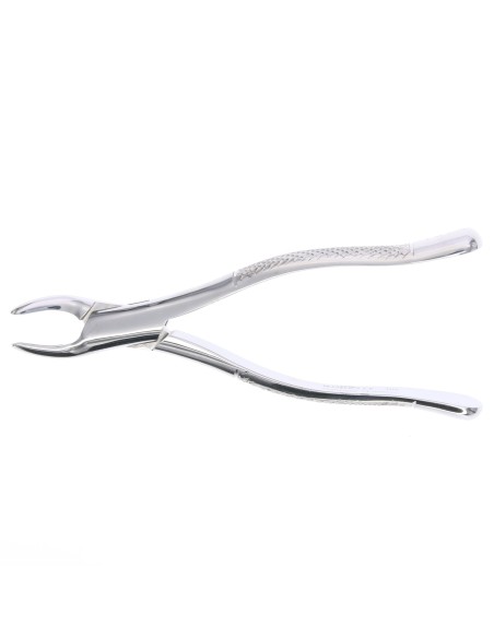 Fórceps Forma Americana Premolares Universal