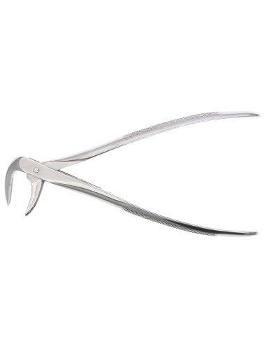 Fórceps de raíces inferiores (pico angosto)
