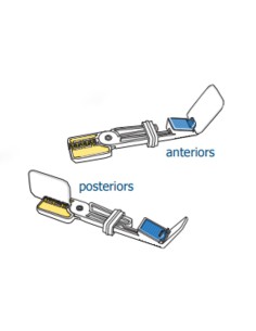 Posicionador de Radiografías Snap-A-Ray XTra 3 unidades De Trey 2