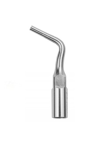 Punta Base, Endochuck Woodpecker E70 para Endoactivador Endo 1 y Endo 3, Compatible EMS