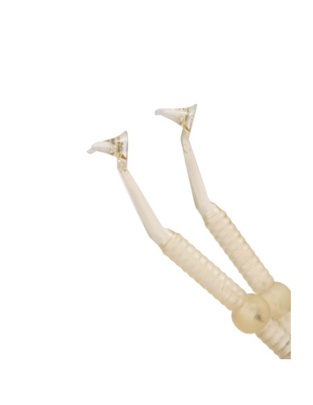 Septocontact Kit 2 Instrumentos (Largo + Pequeño) de Septodont