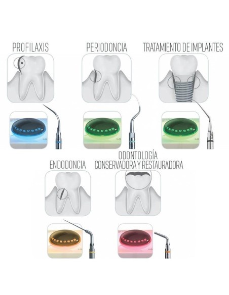 Newtron P5 XS LED Ultrasonidos con Depósito y Luz